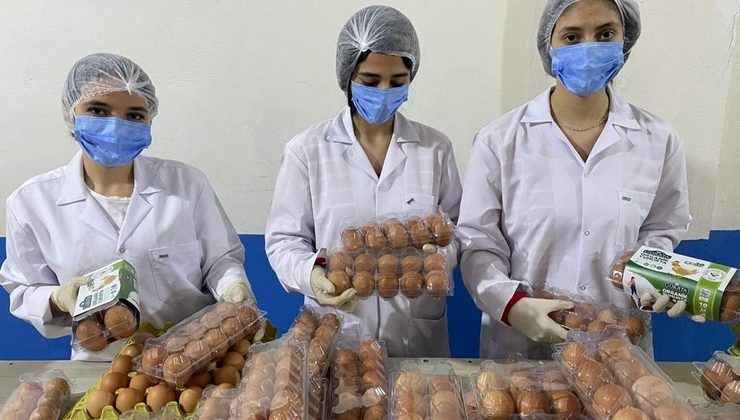 Ordu’nun kafessiz yumurtaları 81 ile ulaşacak