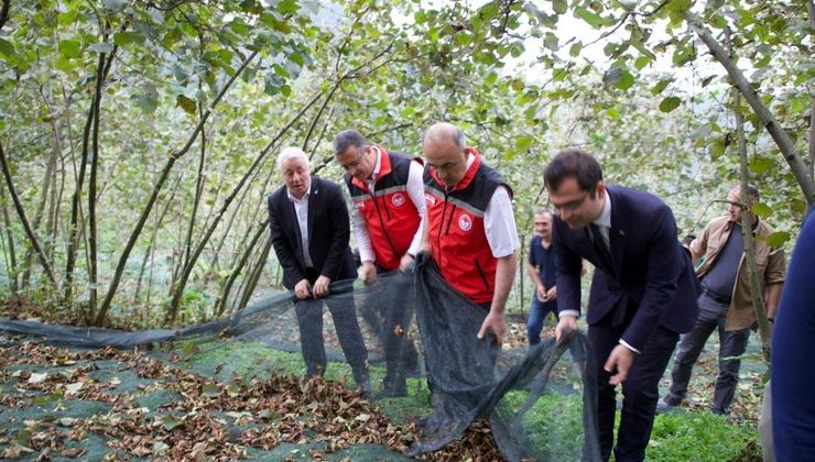Vali Erol, Fındık Üreticisini Ziyaret Etti