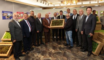 Büyükşehir, 600 bin ücretsiz fide dağıttı