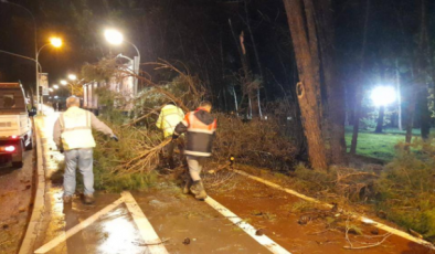 Ordu’da şiddetli fırtına etkili oldu