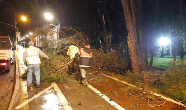 Ordu’da şiddetli fırtına etkili oldu