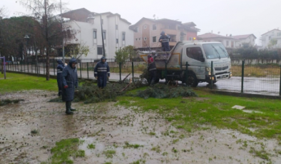 Ordu Büyükşehrin fırtına mesaisi
