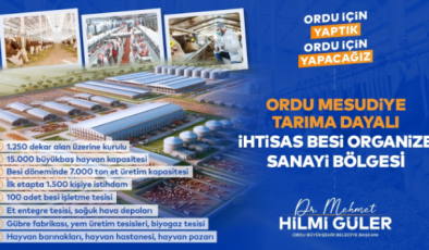 Karadeniz’in ve Ordu’nun kaderini değiştirecek mega proje