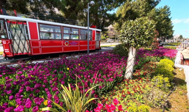 Ordu’da görsel şölen