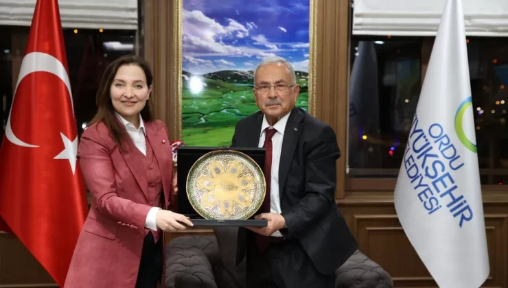 Türk Asıllı Viyana Eyalet Milletvekilinden Başkan Güler’e Ziyaret