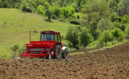 Ordu’ya yeni bir tarım ürünü kazandırılıyor