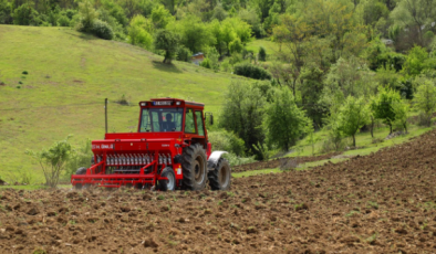 Ordu’ya yeni bir tarım ürünü kazandırılıyor