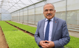 Ordu’da tarım ve hayvancılıkta devrim