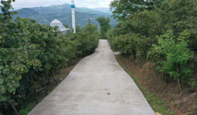 Ordu’da asfalt seferberliği
