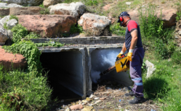 Ordu Büyükşehir vektörlere karşı savaşını sürdürüyor