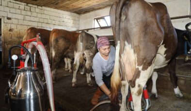 Üreten Ordu’nun üreten kadını