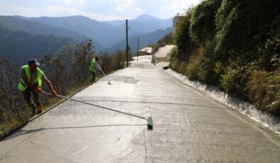 Altınordu’nun en uzak mahallesine ömürlük yol