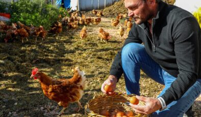Yumurta sektörü Başkan Güler sayesinde ayağa kalktı