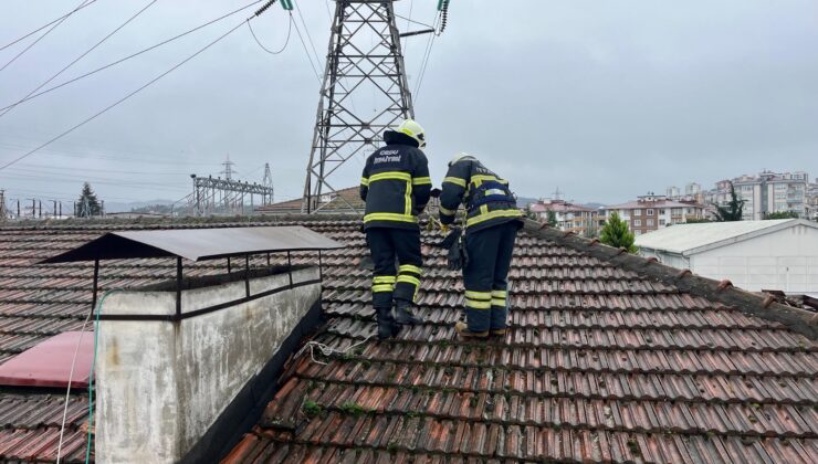 Bacalar yılda en az bir kez temizletilmeli