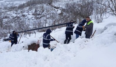 Ordu Büyükşehir’de, kar kış durmuyor