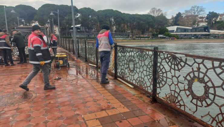 Ordu’da kent estetiği korunuyor