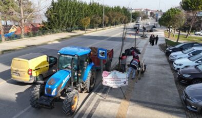 Ordu Büyükşehirden modern ve yeşil kentler