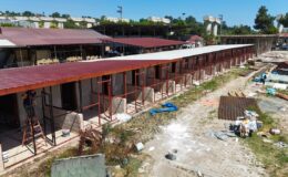 Büyükşehirden sokak hayvanlarına modern yaşam alanı