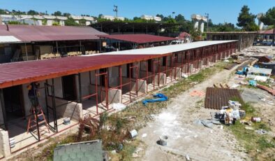 Büyükşehirden sokak hayvanlarına modern yaşam alanı