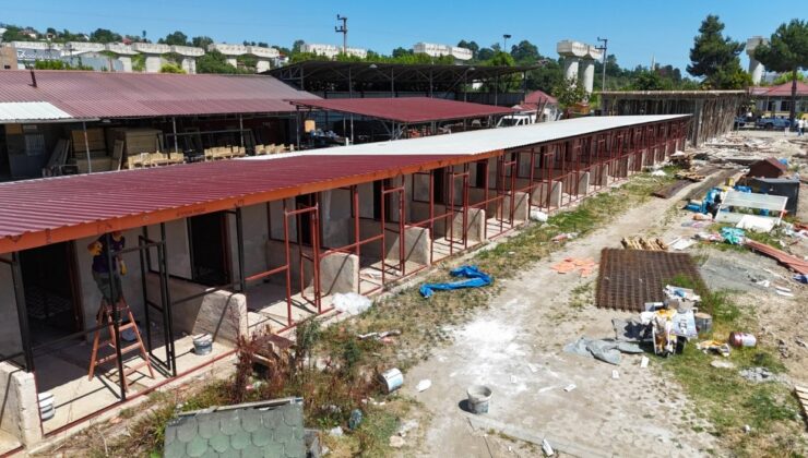 Büyükşehirden sokak hayvanlarına modern yaşam alanı