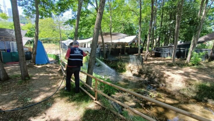 Ordu Büyükşehir sineksiz bir yaz için sahada