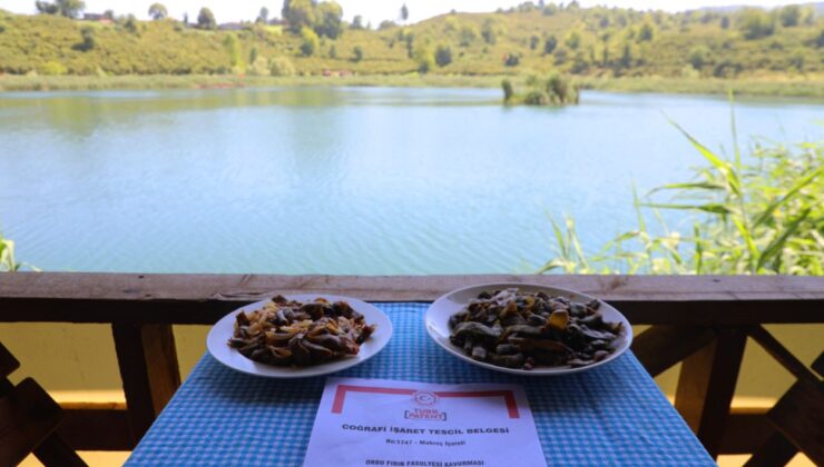Ordu gastronomisi Büyükşehir ile ün kazanıyor