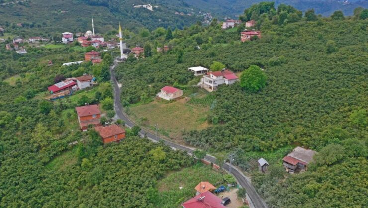 Yollar asfaltlanıyor, yüzler gülüyor