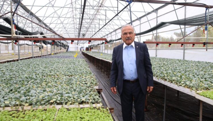 Ordu’da ilk kez üretildi
