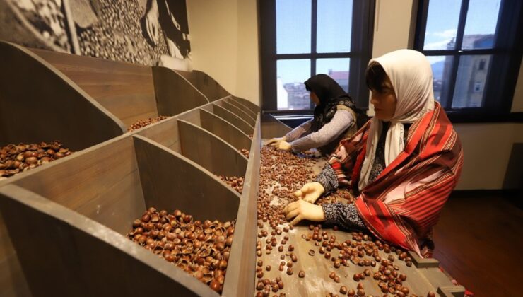 Türkiye’nin ilk Fındık Müzesi ziyaretçilerini ağırlıyor