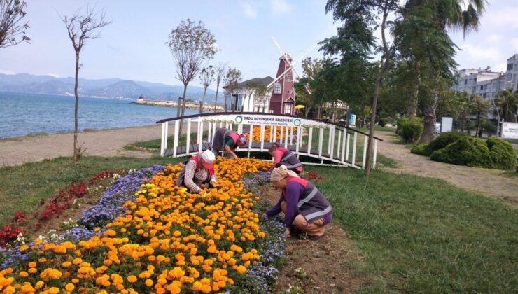 Ordu’nun estetiğine Büyükşehir dokunuşu