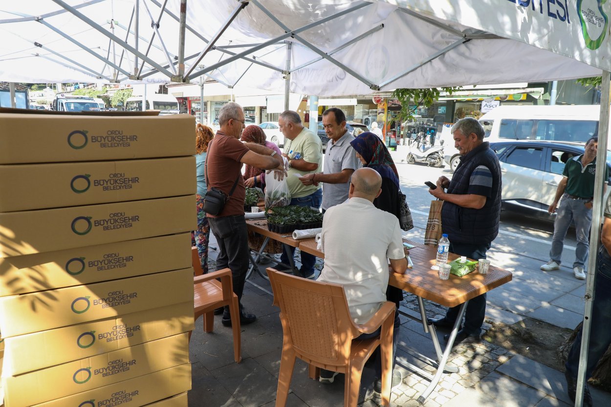 Ordu’da üreticiler kış sebzelerini kendi üretecek