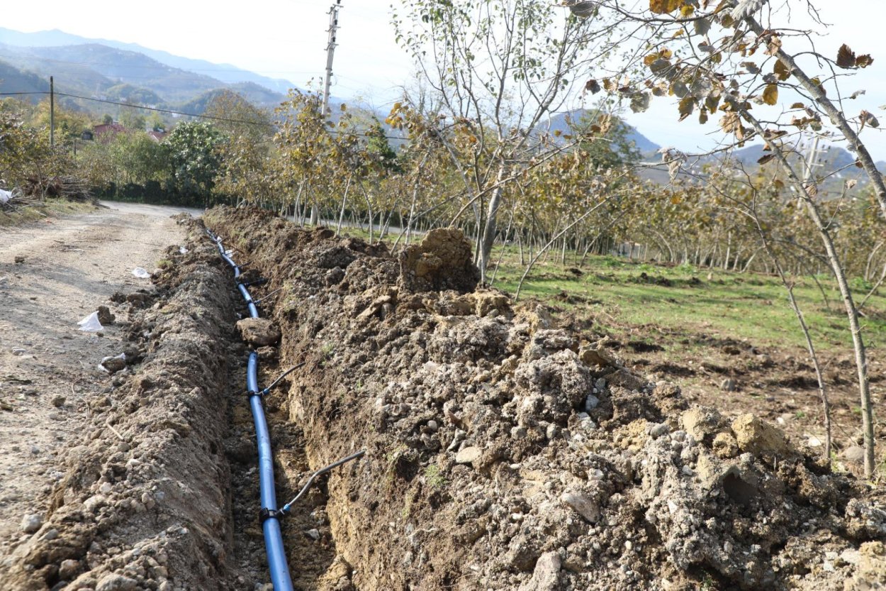 FINVER’de yeni dönem
